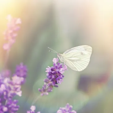 Portrait of Hannah, therapist